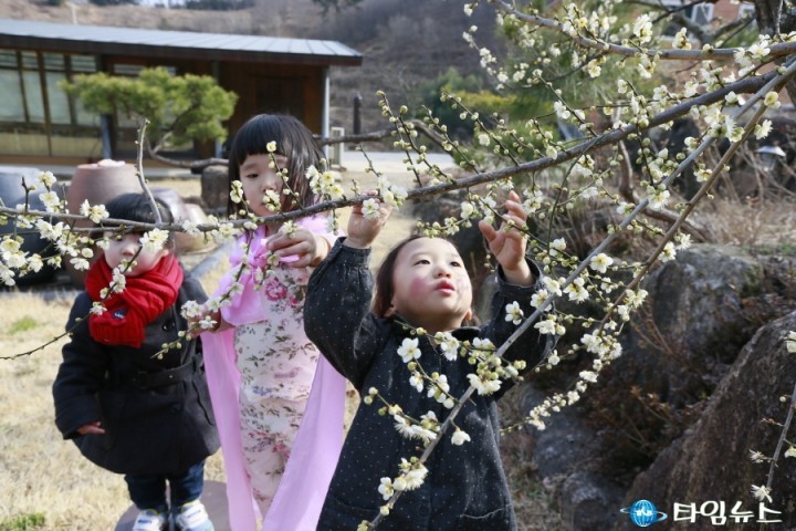 보성군, 우리들 마음에도 봄이 왔어요