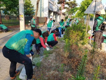전국체전 손님맞이  화단 제초작업