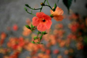 인천 계양구 외국인 유학생들을 위해 무료 건강검진 실시