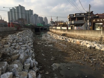 대전 동구, 제1치수교~판암2교 대동천 정비사업 준공
