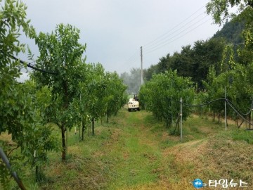 보은군 외래돌발해충 확산 긴급방제 2차 지원 사업 추진