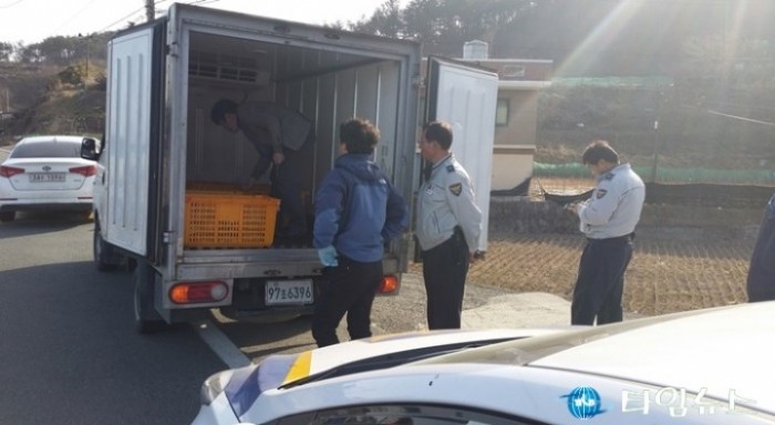 포항시 특별사법경찰관 대게 불법 유통 현장 적발