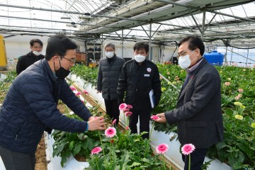 엄태항 군수 봉화테마 전원주택단지 조성 대상지 찾아 사업추진 보고받아....  