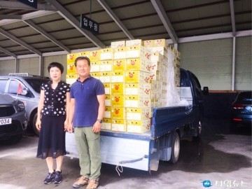 충주농협 방울토마토 300상자 충주시 기