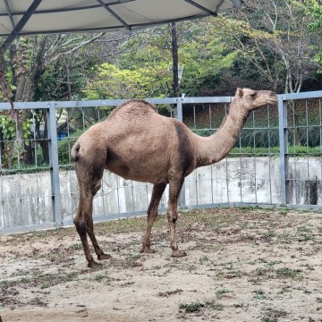 우치공원 동물원 “새식구 보러오세요"