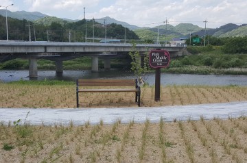 영강천 둔치에‘핑크뮬리 그라스 공원’조성 완공