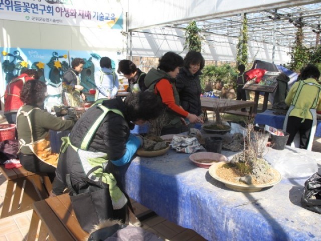 군위군 농업기술센터  치유농업 생활원예 기술교육 실시