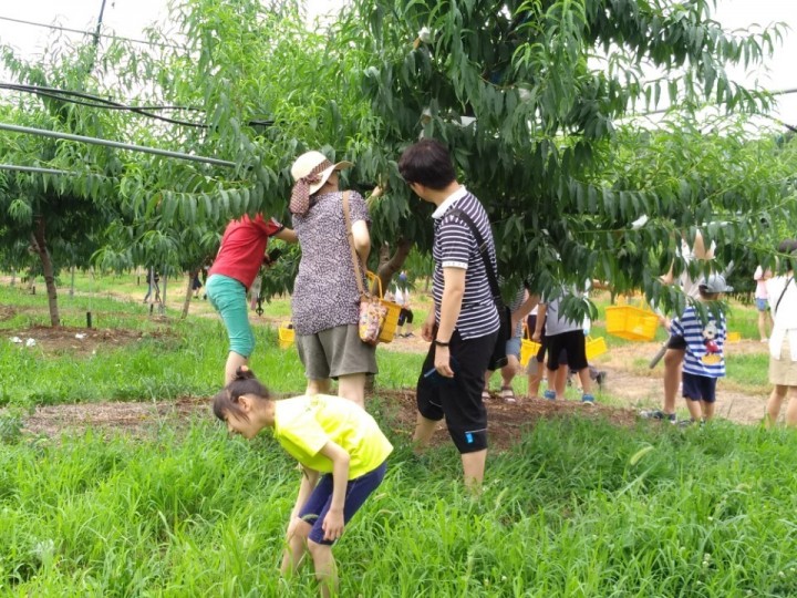 세종시교육청, 2018년 토요일 장애학생 가족지원 프로그램 ‘우리가족놀이터’ 운영