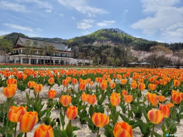 봉화정자문화생활관 5월 가정의 달 맞이 전시관 무료관람, 기념품 증정 이벤트 실시