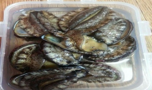 포항해경, “전복 훔친 강도상해 도주범 검거”