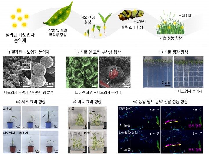 전남대 김장호 교수팀, 첨단 나노농약 개발