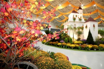 [포토뉴스] 고양가을꽃축제