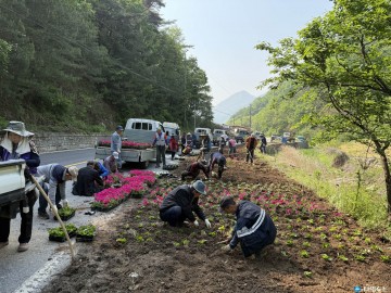 “단양 어상천 방북리, 주민 손길로 피어난 ‘길섶 꽃정원’”