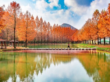 한국관광공사 "2022 대한민국 우수 관광사진 109점 선정"