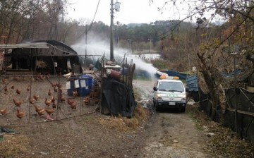 대전시, 조류인플루엔자(H5N6) 차단방역 강화