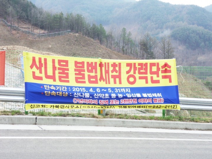 산나물·산약초 등 농, 임산물 불법채취 강력단속