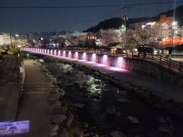 구미 금오천, 낭만불빛으로 물들다