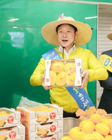 성주참외 조수입 6천억시대, 안정적 정착 완료!