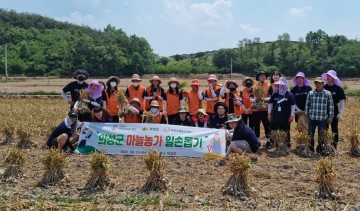 마늘수확 일손돕기 프로젝트 성료