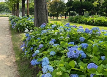 "순천만국가정원서 꽃들의 무도회 만나요" 