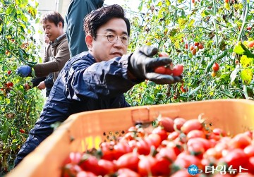 허태정 대전시장 후보, “농부 발걸음이 농사”…토마토 수확