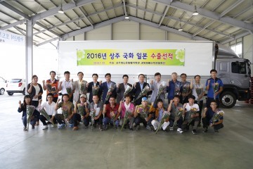 “상주 국화, 일본 꽃시장에 수출로 첫인사”