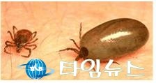 야외활동 시 진드기에 물리지 않도록 주의