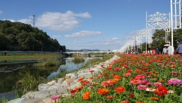 노란꽃잔치 동물체험