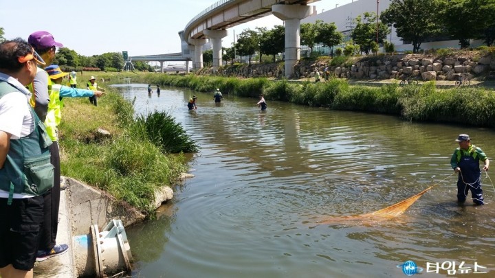 생태계 교란어종 배스, 블루길 포획활동