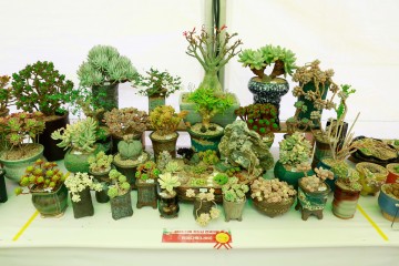 화순군, '다육가드닝 전국대회' 개최