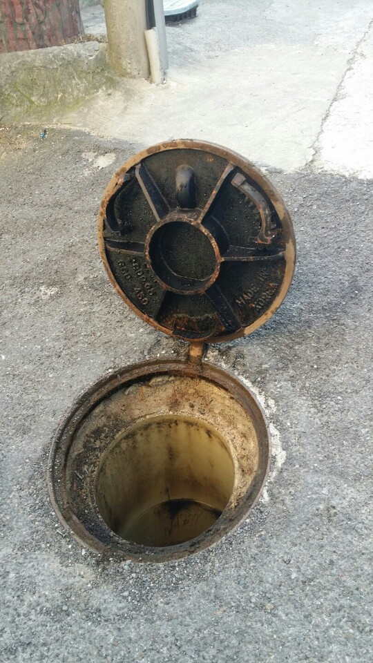 동구보건소, 모기 유충서식지 조사 유충 방제