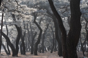 장애인과 비장애인이 그려내는 꿈과 희망의 하모니!