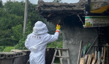 추석 관련 생활안전사고 증가, 안전사고 주의