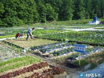 예천군, 예천온천 주말농장 분양 시작