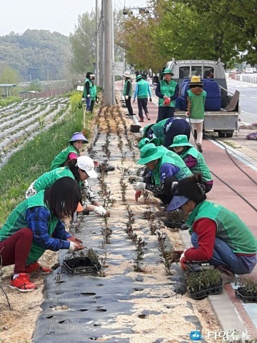 목행용탄동 새마을協, 꽃길 조성 구슬땀
