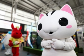 고양시 '고양고양이' 우리동네 캐릭터 대상 본선 진출