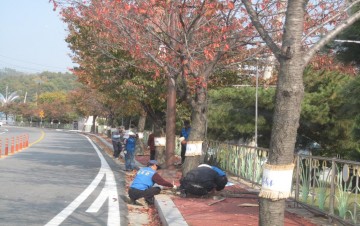 봉화군 하반기 공공근로 지역공동체일자리사업 참여자 모집