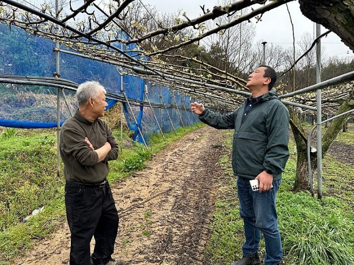 함평군, 기상이변으로 인한 봄철 우박 피해 우려…신속한 현장 기술지원 실시
