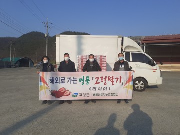 고령 딸기, 러시아 수출길 시동