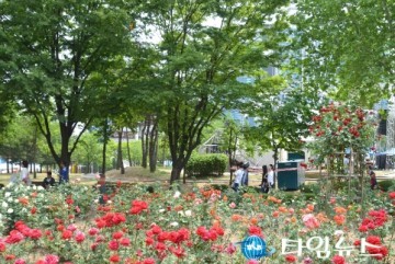 원주시 '공원 내 기초질서 위반행위' 단속