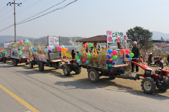김천시 “새콤달콤 제6회 김천자두꽃축제”준비에 박차