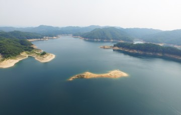 안동호 쇠제비갈매기, 전국 최초 인공모래섬에 안착