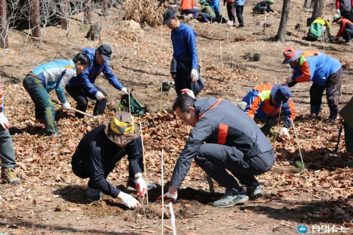 원주시 '2017 나무 나누어주기' 행사 개최