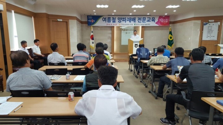 대구 달성군 파종부터 수확 후 관리까지 고품질 양파교육
