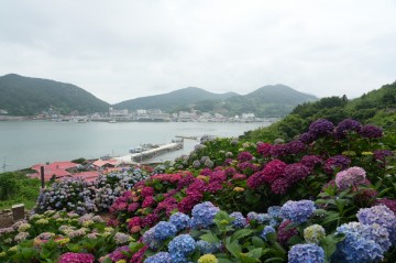 고흥군, 전남민간정원 제1호 쑥섬 인기 ‘실감’