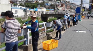여수시, 국화와 베고니아 꽃밭으로 가을분위기 '물씬' 