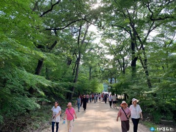의성군, 2023 착한여행 의성투어 전담여행사 3개사 선정