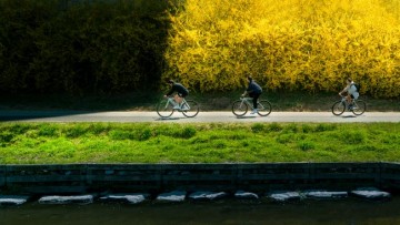  천안의 봄 사진 공모전 수상작 발표