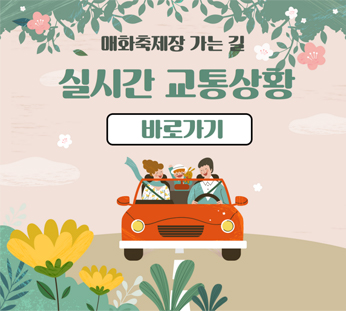 광양매화축제, 주차 걱정은 뚝! 