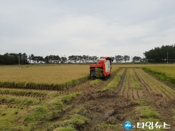 울진군, 고품질 쌀 생산을 위한 벼 적기 수확 당부